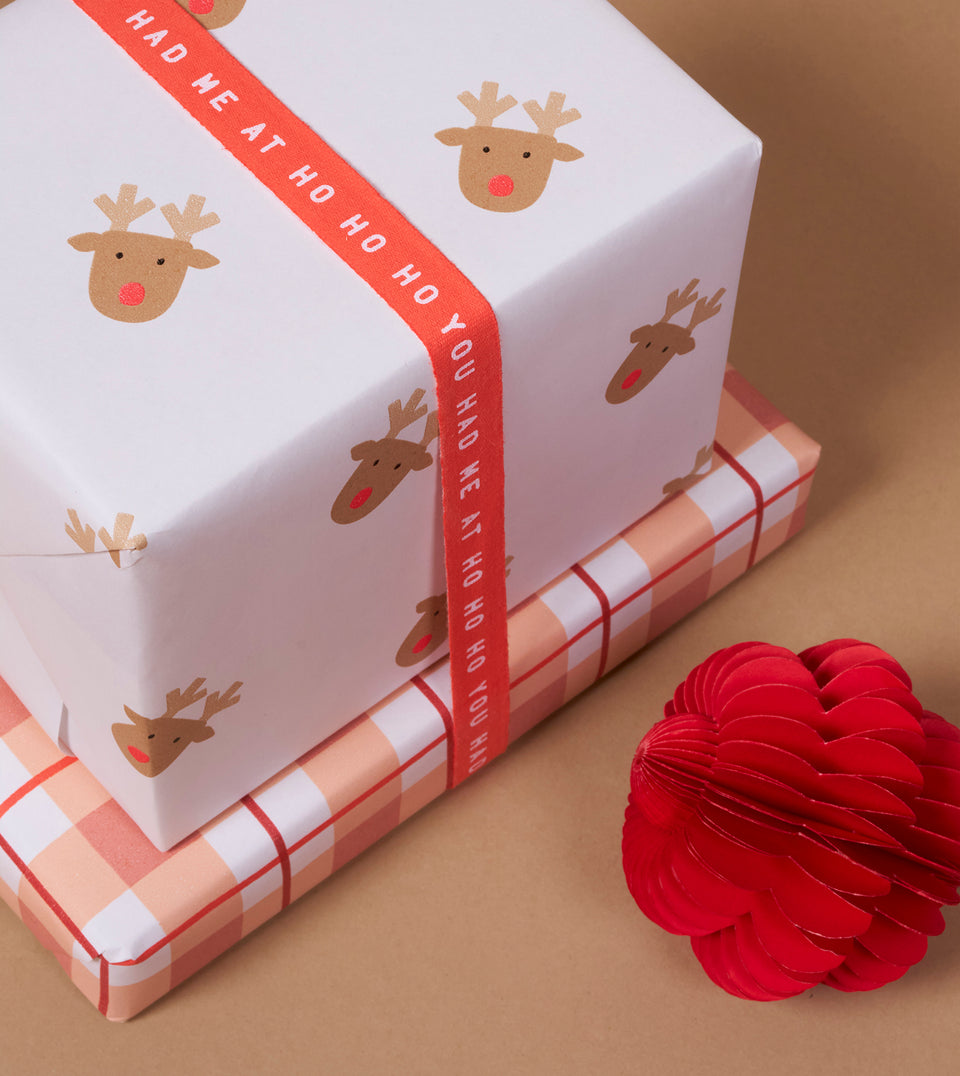You Had Me ribbon - Coral