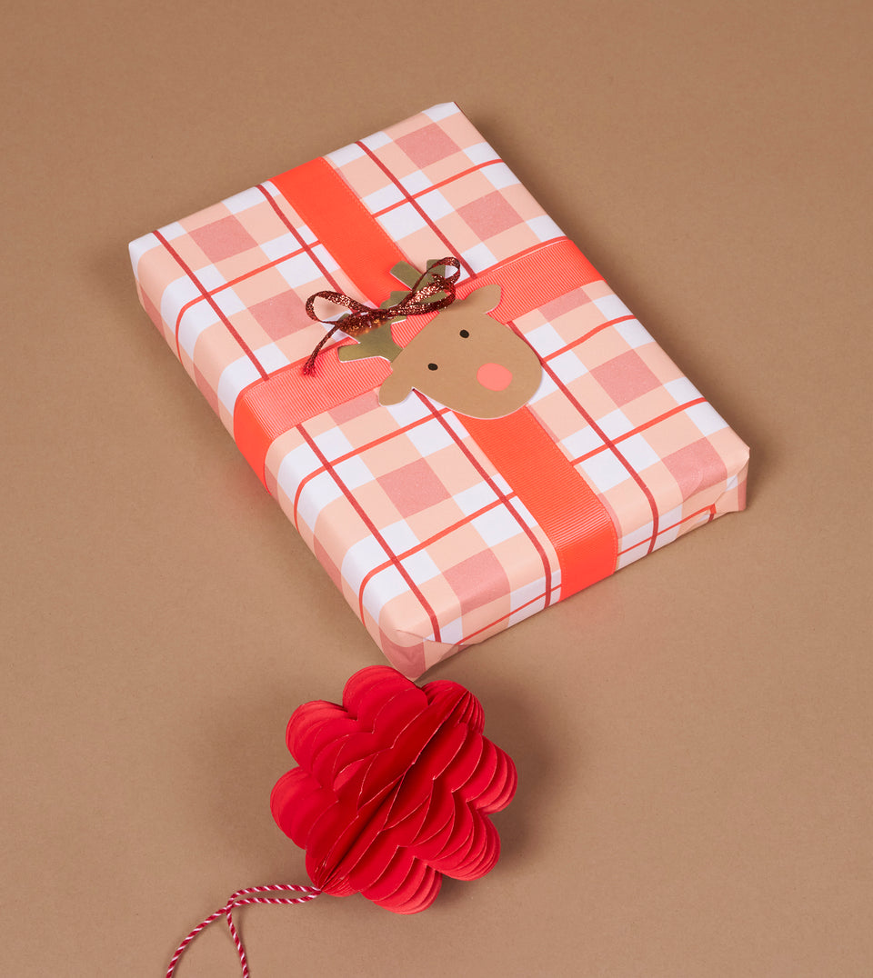 Neon coral ribbon