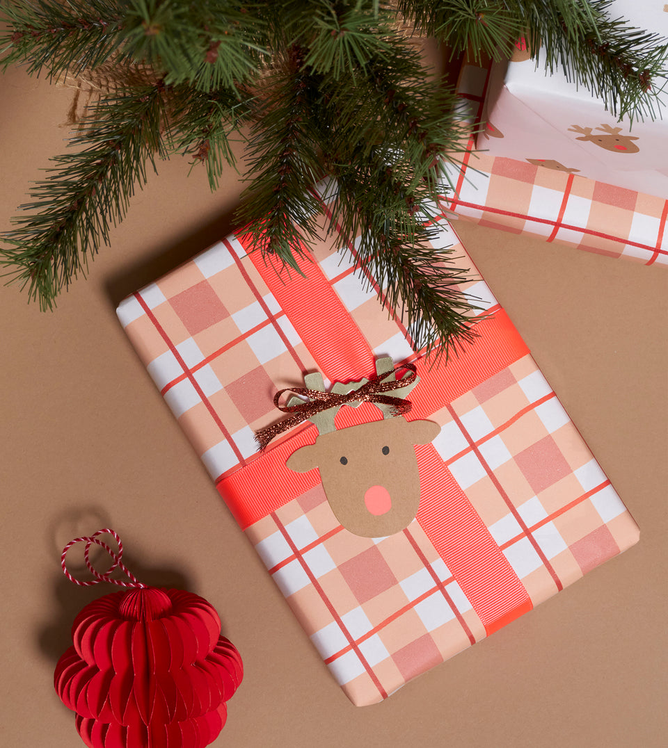 Neon coral ribbon